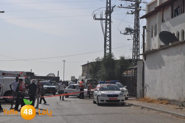 fireludkartoonmasna34 (23).JPG